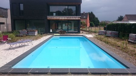 Prefab bouwkundig zwembad Concrete